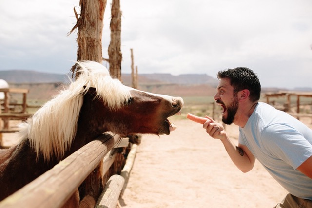 快把胡萝卜交出来，不然我就不客气啦动物gif搞笑图片