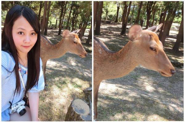 来自自然界的鄙视动物gif搞笑图片