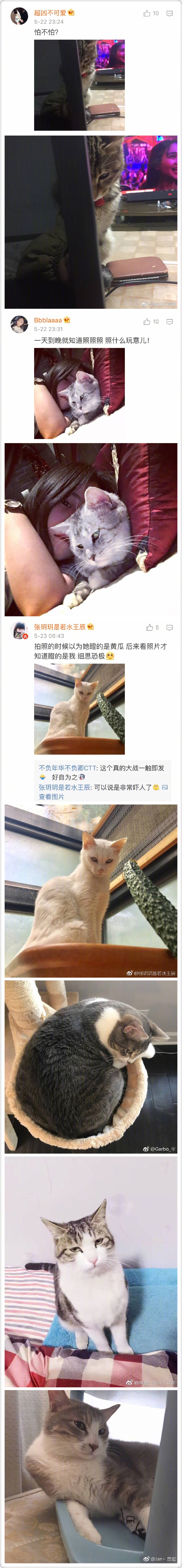 发张你家宠物鄙视的眼神，抖M求虐！动物gif搞笑图片