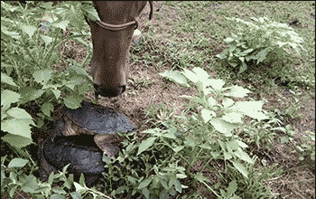 哎呀呀！你敢打扰我的好事动物gif搞笑图片