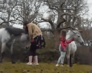 马大哥一看就是练过的，一招一式都是有板有眼动物gif搞笑图片