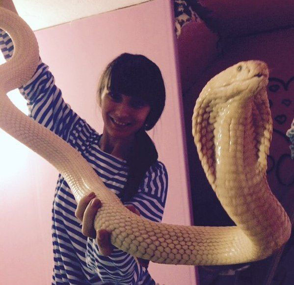 外国妹子的宠物动物gif搞笑图片