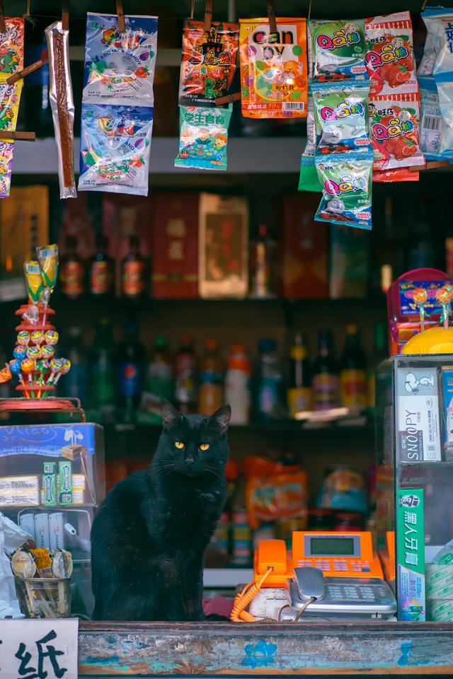 瞅半天了，还不买？动物gif搞笑图片