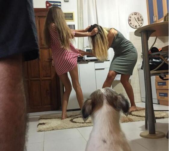 阿汪，咱们就静静地看动物gif搞笑图片