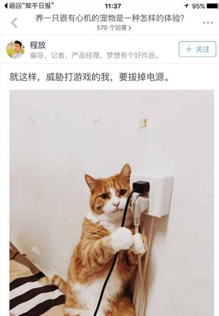 养一只很有心机的宠物是一种怎样的体验动物gif搞笑图片