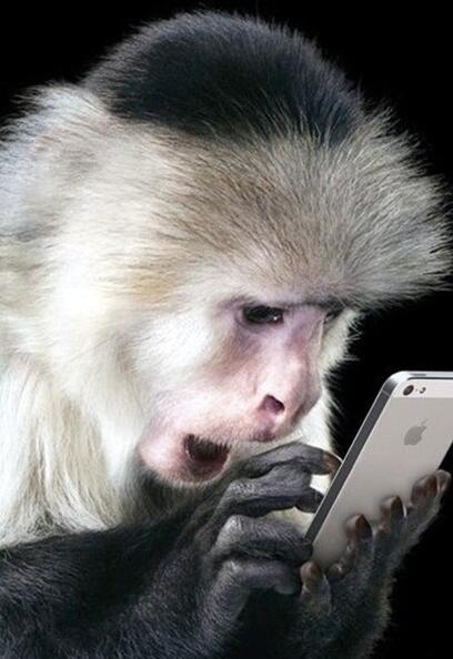 我妈眼中的我动物gif搞笑图片