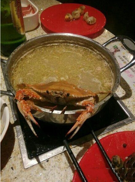 服务员，水温貌似有点低啊动物gif搞笑图片