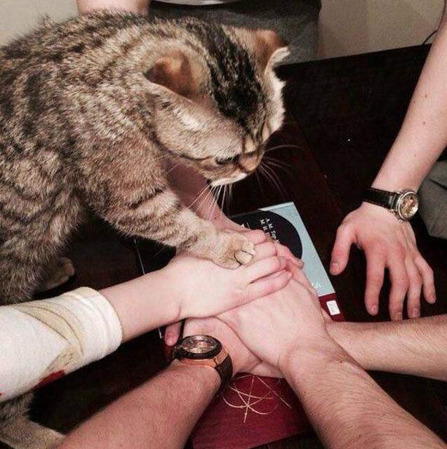 董事长亲自来公司鼓励大家动物gif搞笑图片