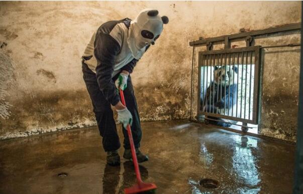 在我们族群，瘦子是要打扫卫生的动物gif搞笑图片