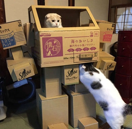 喵星人专属机甲动物gif搞笑图片