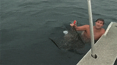 幸好今天鲨鱼心情好动物gif搞笑图片