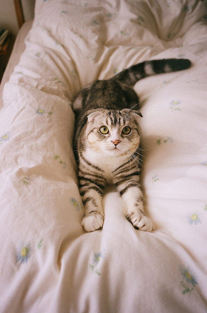 这么冷，，，能不能不去洗澡动物gif搞笑图片