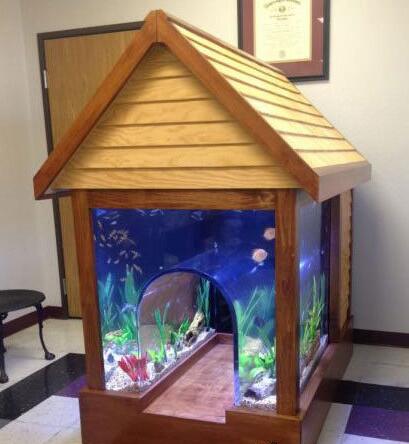 同时养好鱼跟狗动物gif搞笑图片