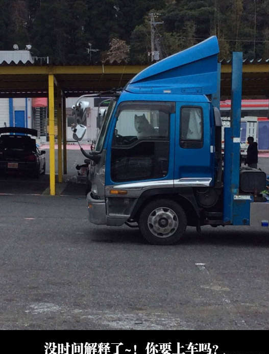 “去哪？我刚好要把主银遗弃到深山里，载你一程吧”动物gif搞笑图片