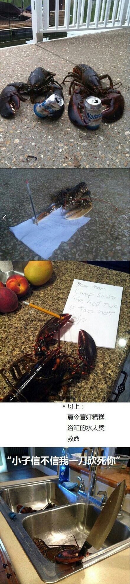 因为有钳子所以可以随意摆造型动物gif搞笑图片