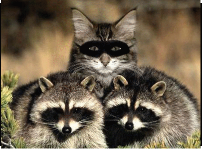 我是卧底动物gif搞笑图片