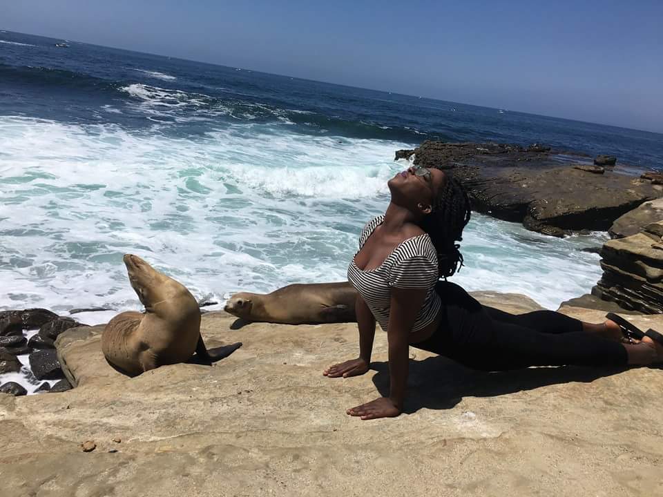 大家跟着我的动作，嗨起来动物gif搞笑图片