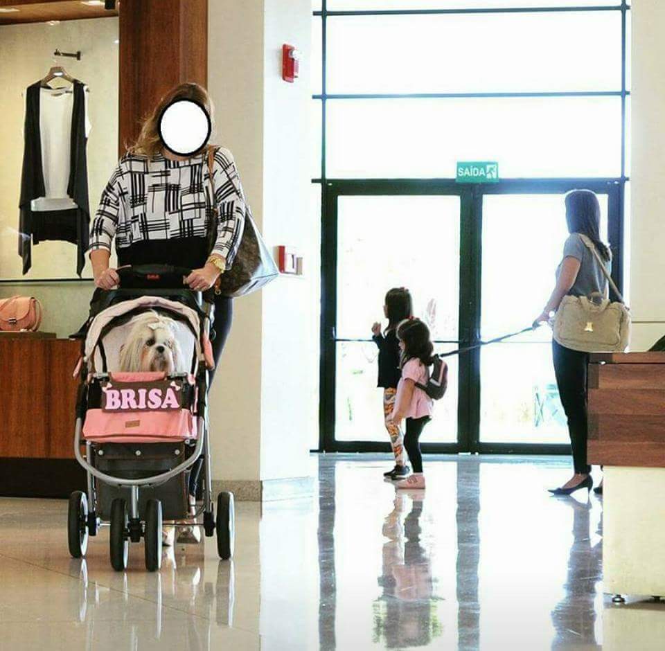 这是什么世道啊，阿汪的待遇也太好了吧！动物gif搞笑图片