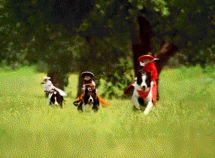 酷毙了，三只猴星人动物gif搞笑图片