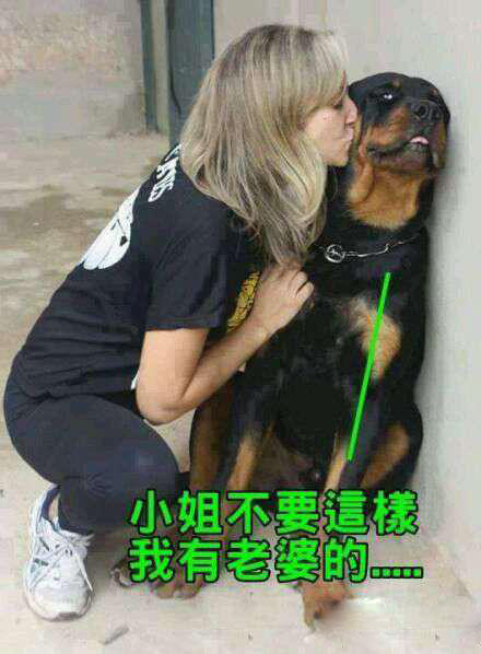 小姐，请放尊重些…动物gif搞笑图片