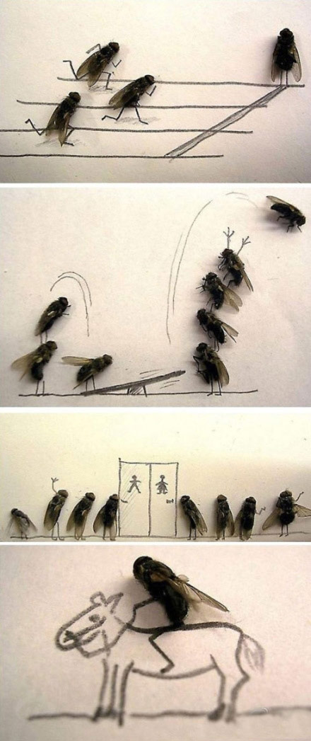 万能无敌的搞笑苍蝇图片动物gif搞笑图片