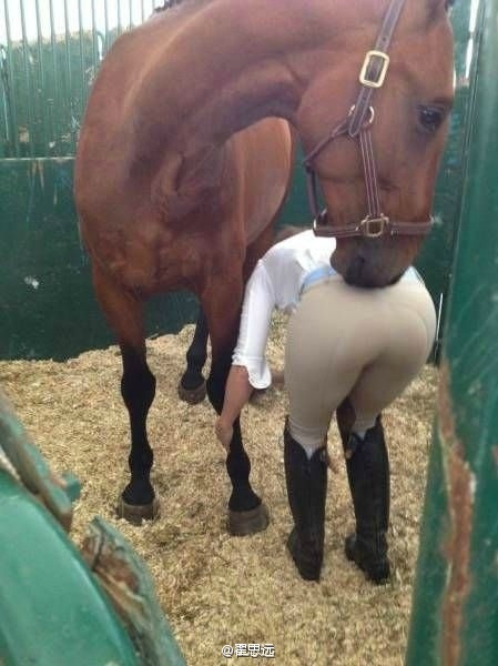 爱上你的臀动物gif搞笑图片