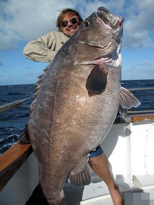 这要吃多久啊？动物gif搞笑图片