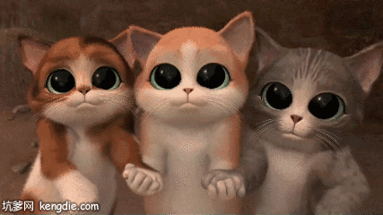三只卡通小猫咪超大眼睛gif动态图片动物gif搞笑图片