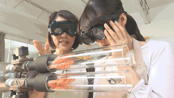 虾：鬼知道我经历了什么动物gif搞笑图片