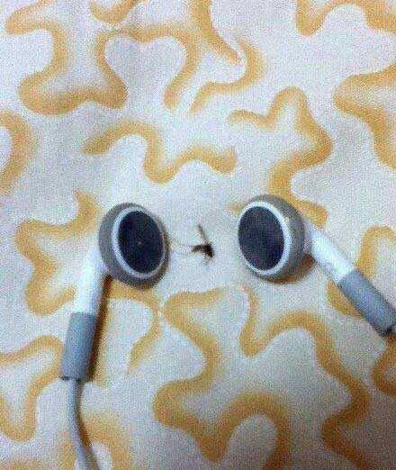 二点，但真的想这样整整它动物gif搞笑图片