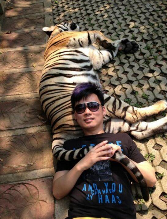 老虎屁股摸不得，可以睡动物gif搞笑图片