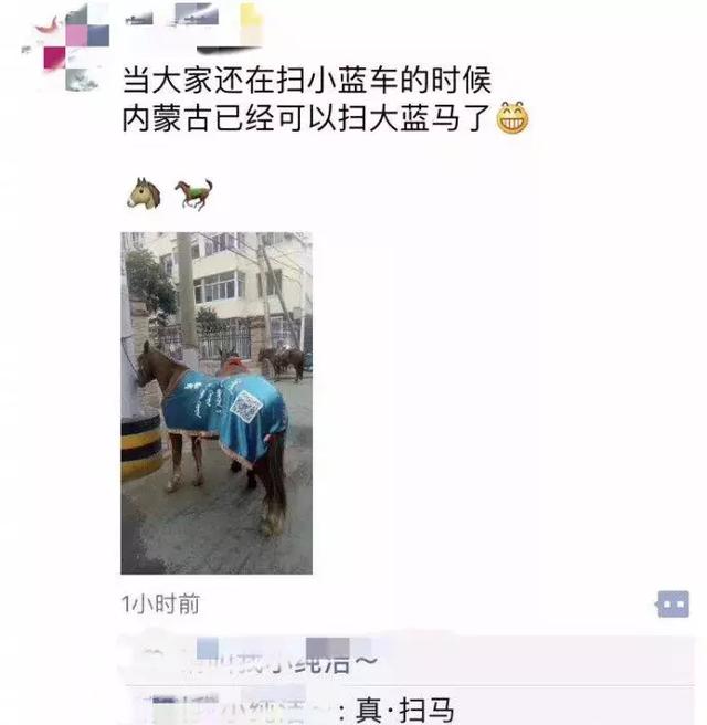 内蒙学生都是骑马上学的动物gif搞笑图片