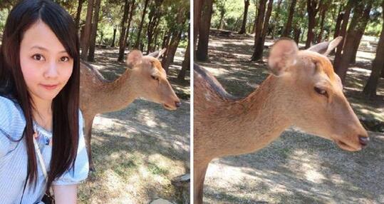 这一定是只母鹿，所以才会嫌弃漂亮妹纸动物gif搞笑图片