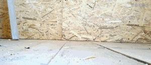 喜欢钻洞的喵星人运气都不会太差动物gif搞笑图片