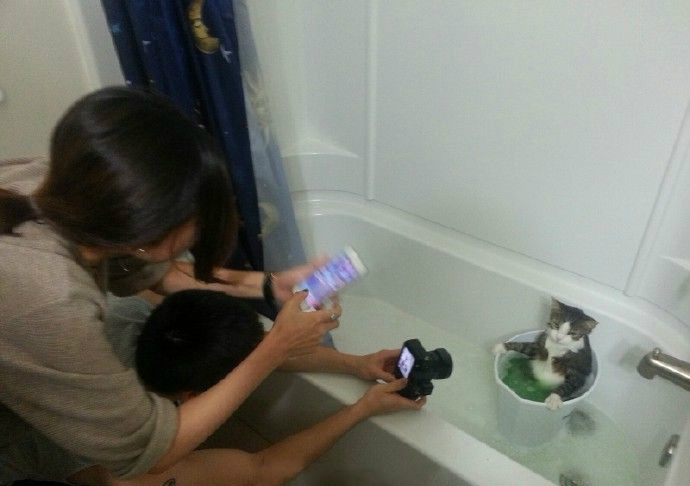 洗个澡就变成新闻发布会现场动物gif搞笑图片