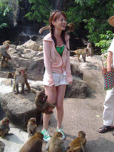 泼猴，你给我让开！动物gif搞笑图片