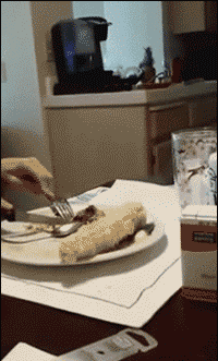 在美食面前，吃货总是充满了动力动物gif搞笑图片