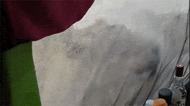 如果一觉睡醒遇到这种情况会怎么做…在博茨瓦纳野营的驴友选择了先用手机拍下来传上网…动物gif搞笑图片