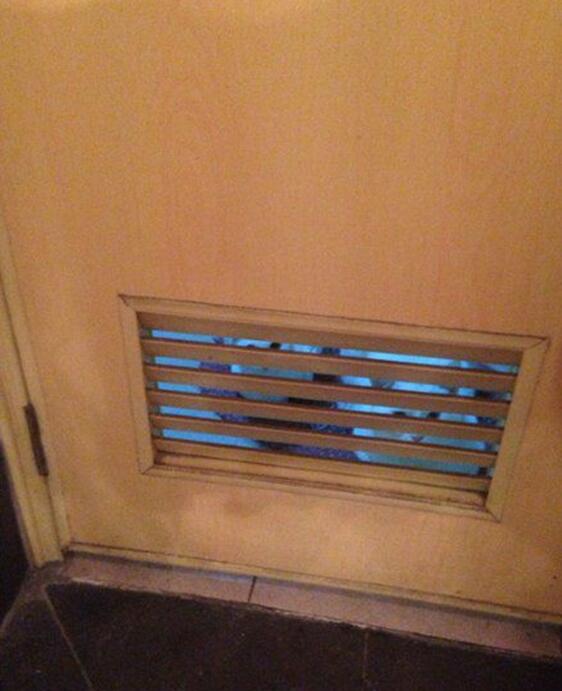 每天去洗澡都有种被偷窥的赶脚动物gif搞笑图片