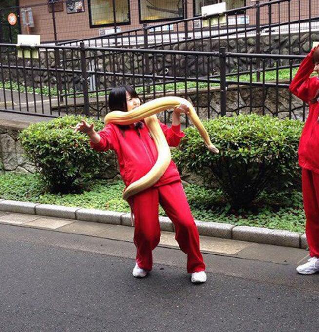 擦，等你找人来老娘早吓死了动物gif搞笑图片