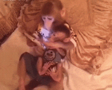 猴子也玩手机，而且还抱着自己的小可爱动物gif搞笑图片