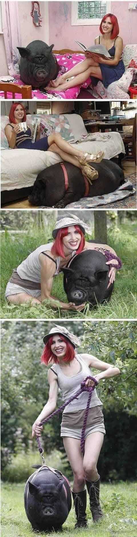 看这只宠物，秒杀了所有的猫猫狗狗动物gif搞笑图片