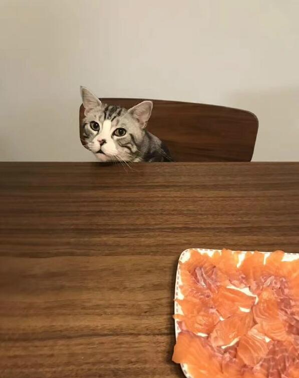 你好意思自己吃么动物gif搞笑图片