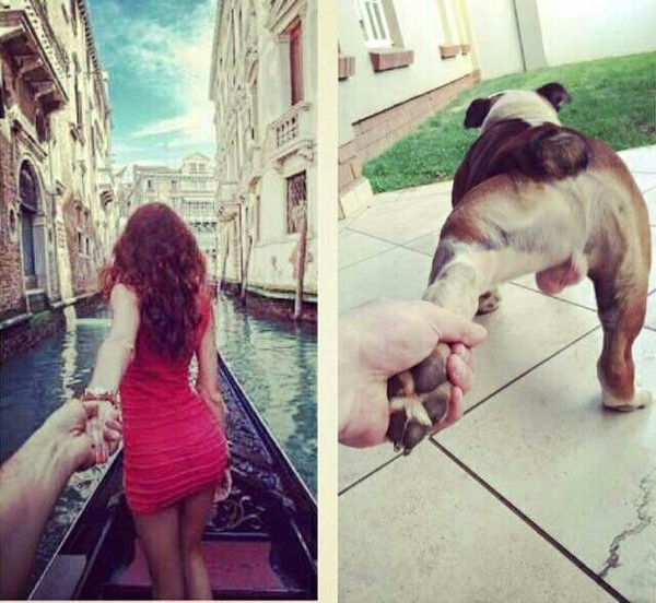 秀恩爱不就是牵手么，谁不会！？动物gif搞笑图片