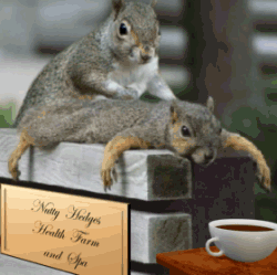 我这个手法怎么样？动物gif搞笑图片