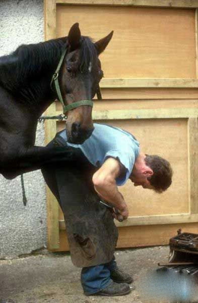 住手，你想干什么？动物gif搞笑图片