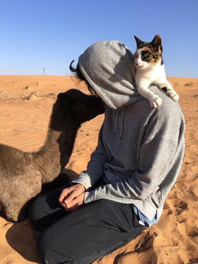 还以为是人与自然的和谐场景，结果……哈哈哈哈哈哈哈哈哈哈哈松开老子的尾巴！动物gif搞笑图片