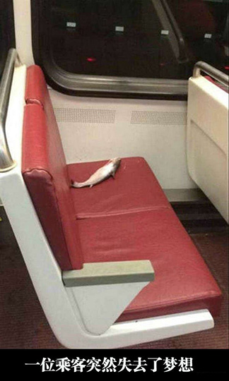 一个人如果没有梦想跟一条咸鱼有什么分别动物gif搞笑图片