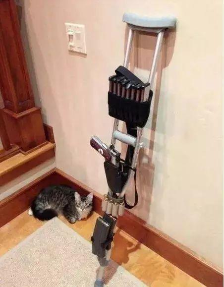 开局一只拐、一只猫，装备全靠打动物gif搞笑图片