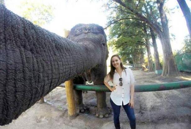 最牛自拍杆动物gif搞笑图片